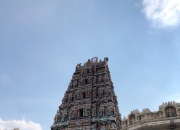 爱游戏在线-印度队逆转马来西亚队，黄鸭组合高光表现