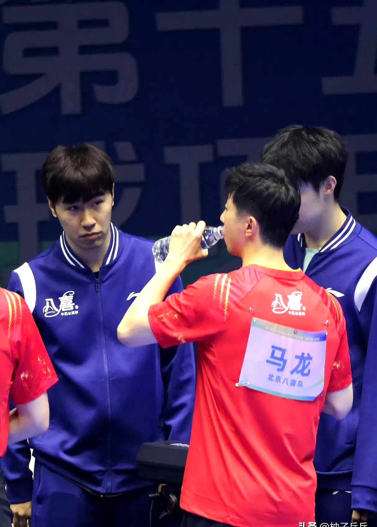 德国队横扫韩国队，马龙高光表现