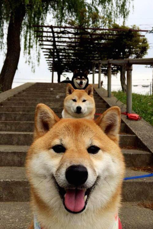 铁壁与节奏的艺术，德里赫特如何以掌控之力定义尤文对阵皇马的现代对决