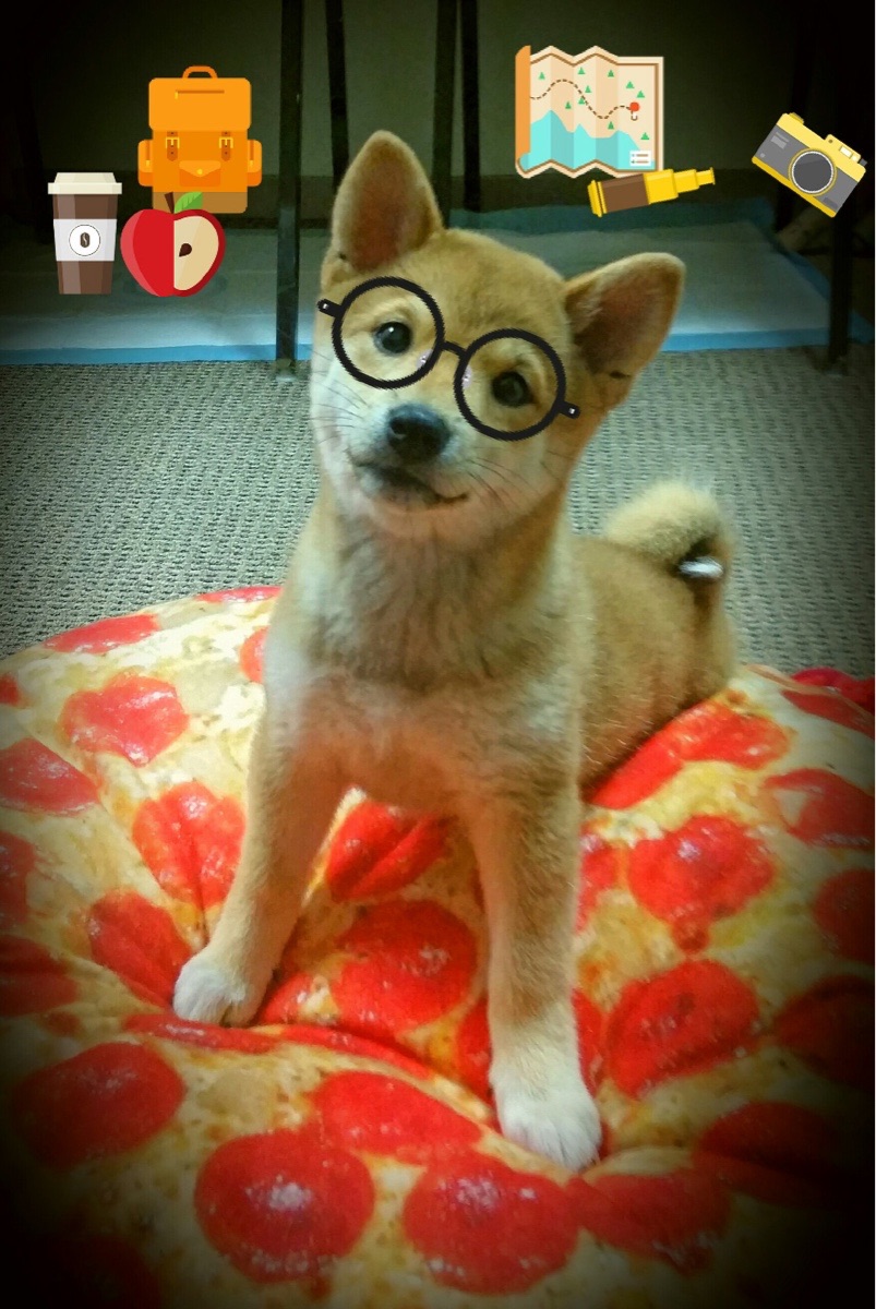 摩纳哥对阵比利时，萨拉赫的教科书式表现如何重新定义现代边锋