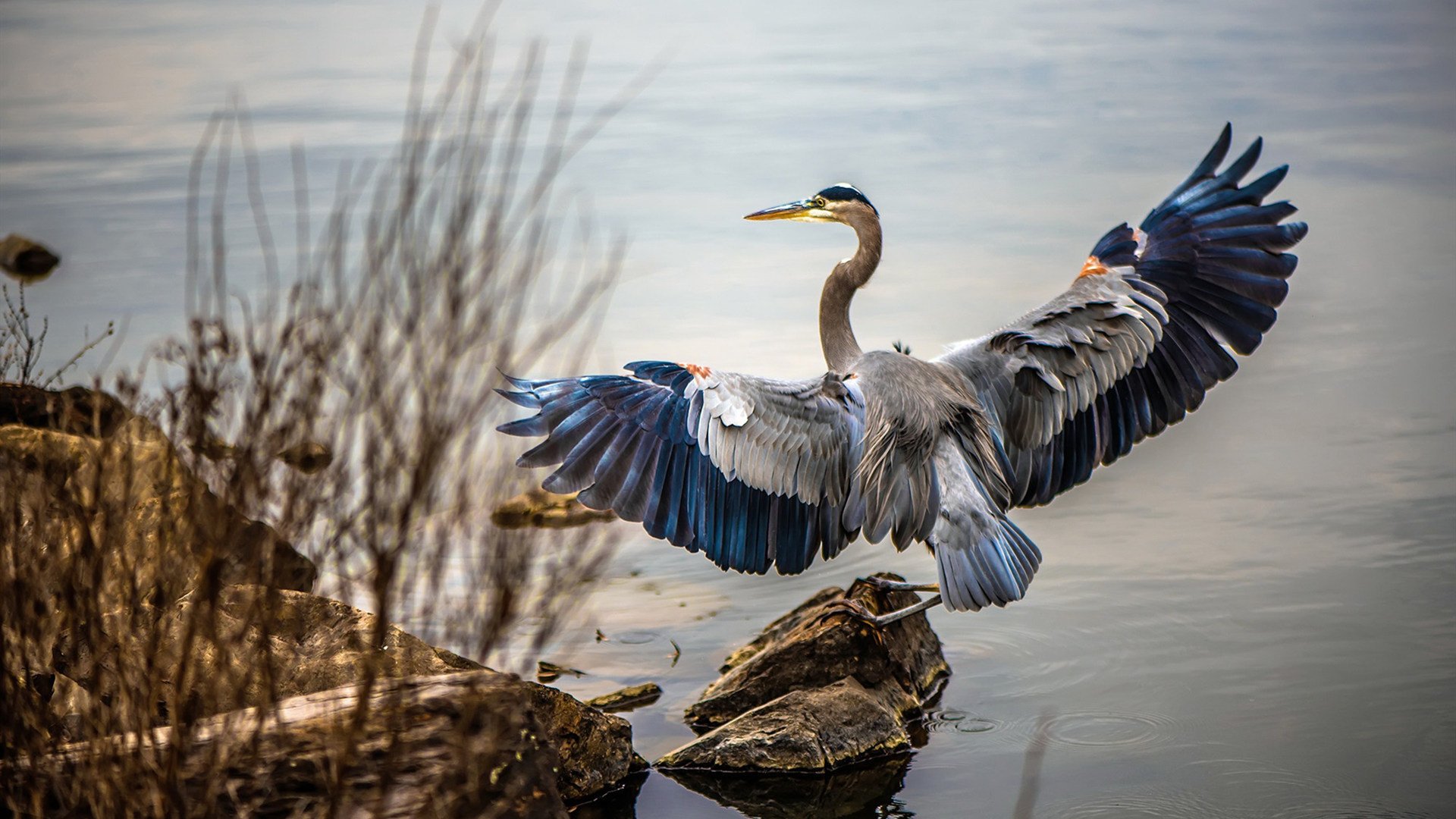 切特·霍姆格伦，山西对阵76人，一场被独角兽掌控的宿命对决