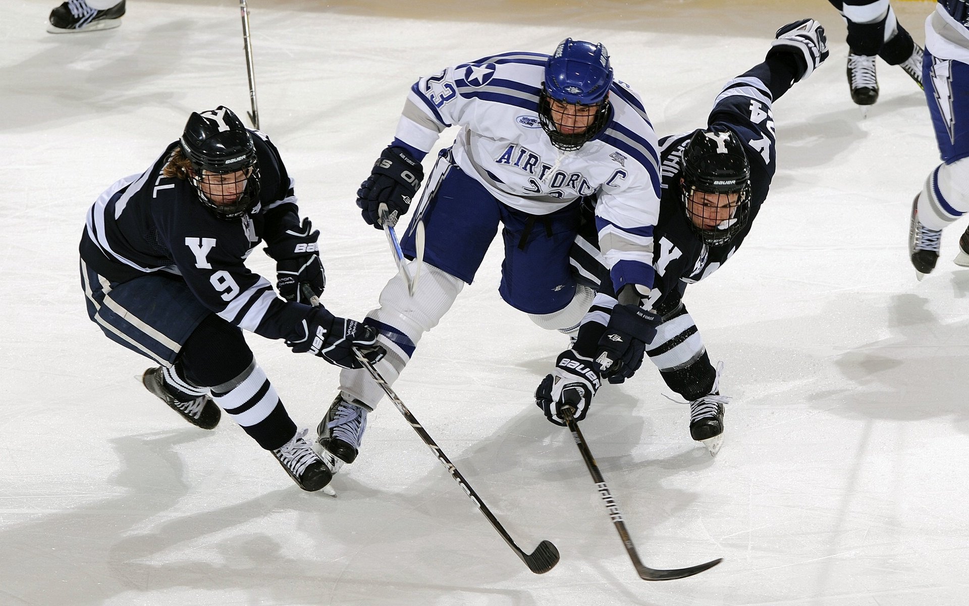 掌控之力,从加克波的战术智慧到皇马对喀麦隆的胜利哲学