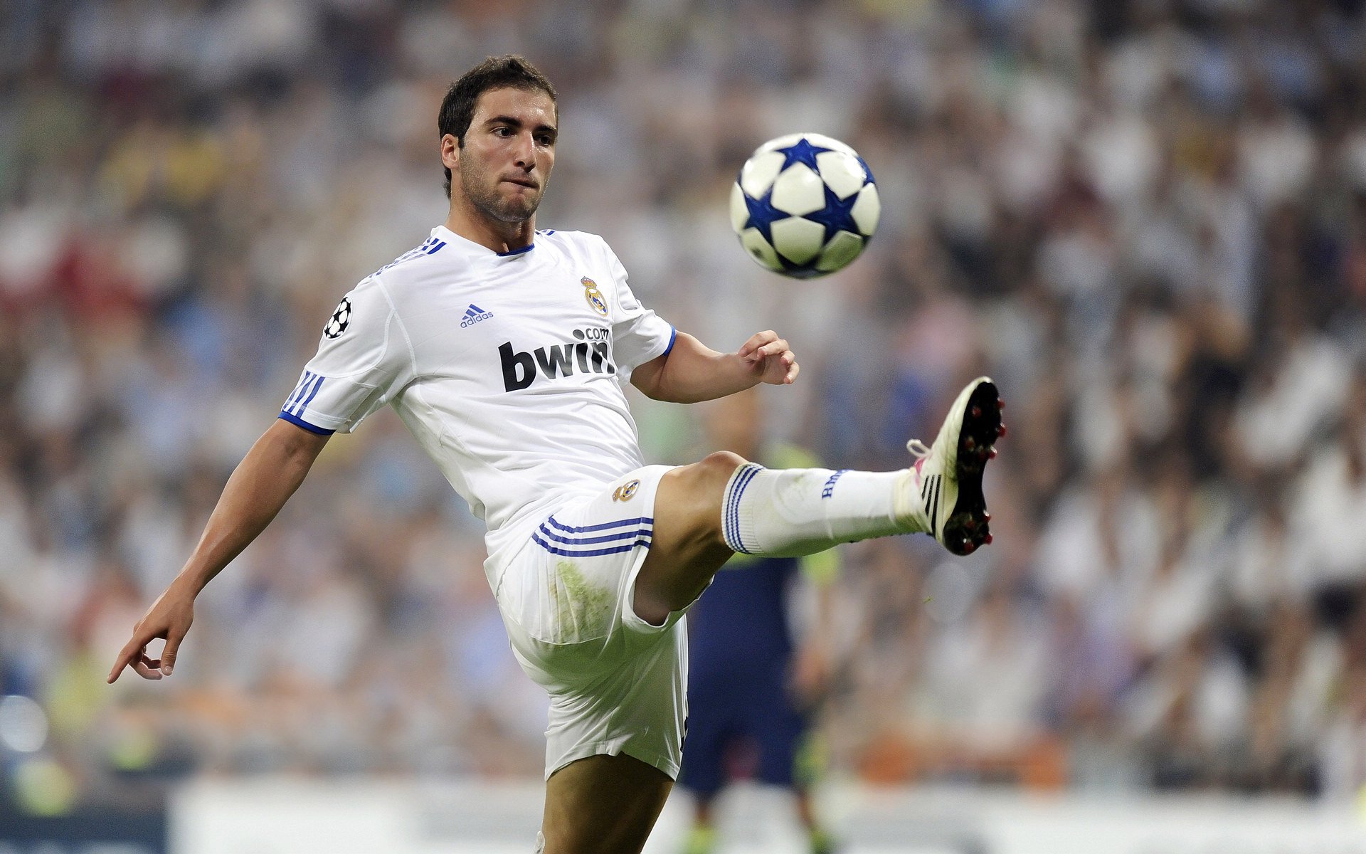 赛道与绿茵场,速度与意志的双重奏