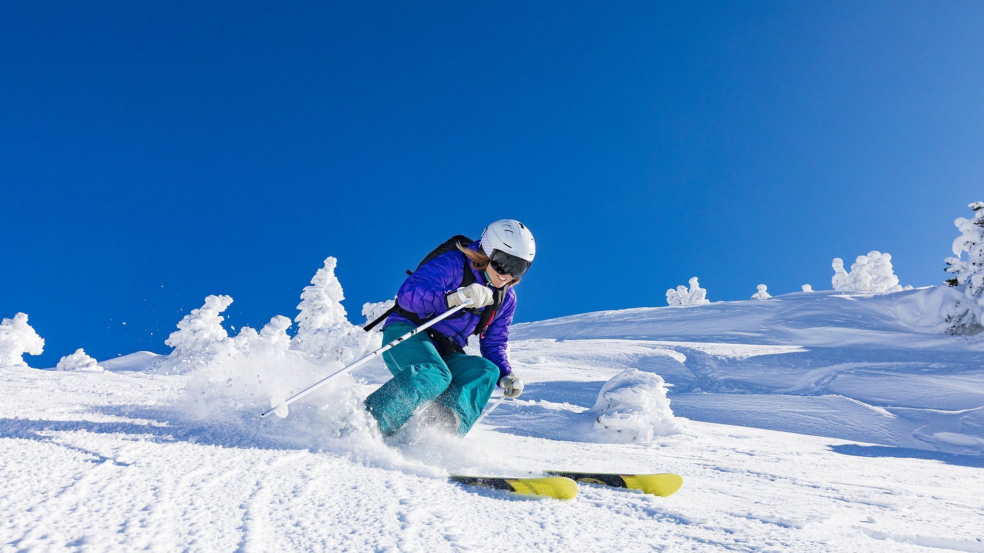 唯一的瞬间，布罗佐维奇的光辉之夜